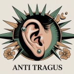 illustration anti tragus piercing oreille morphologie