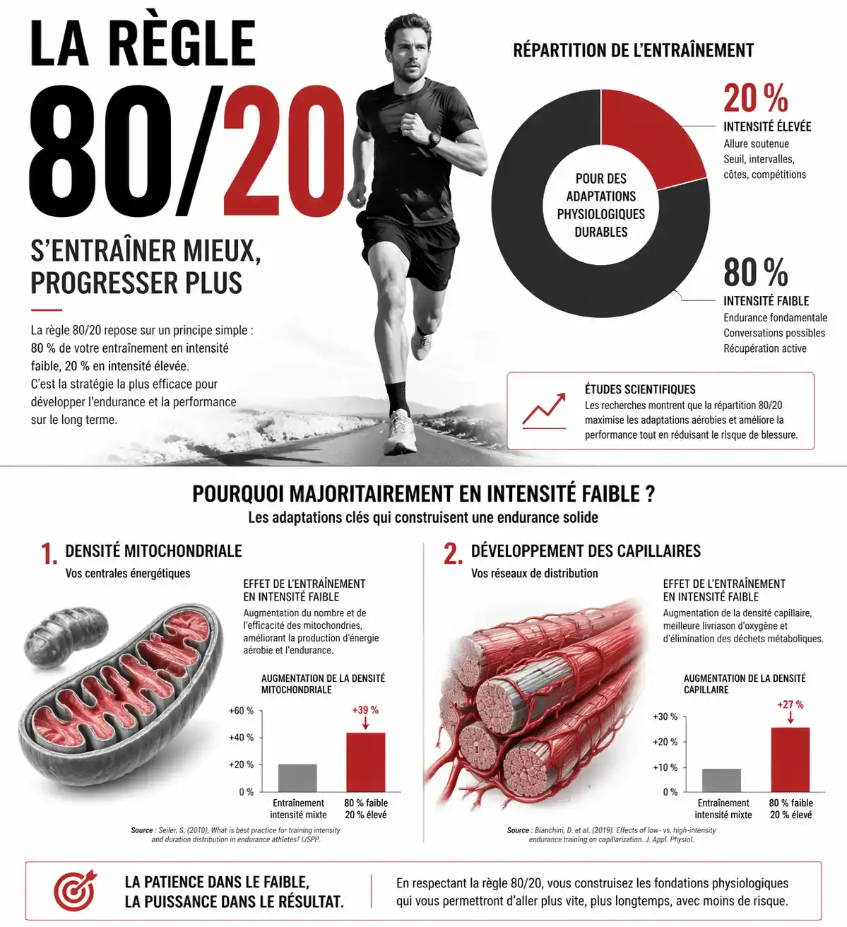 Infographie illustrant la règle des 80/20 et les bénéfices physiologiques de l'endurance fondamentale.