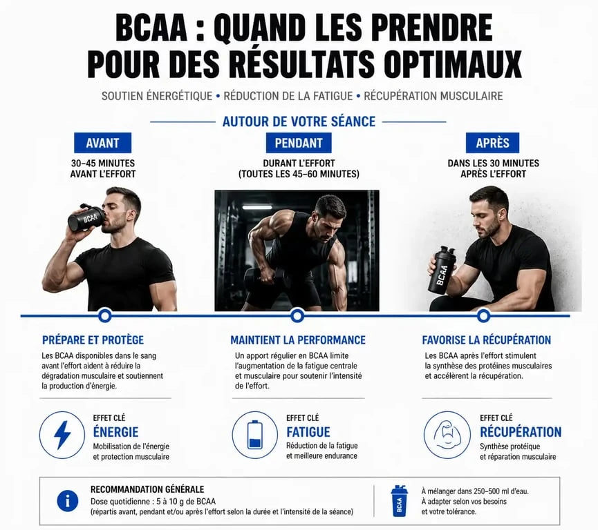 Infographie sur le timing optimal pour prendre des BCAA avant, pendant et après l'entraînement